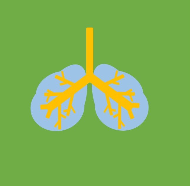 A Guide to COPD